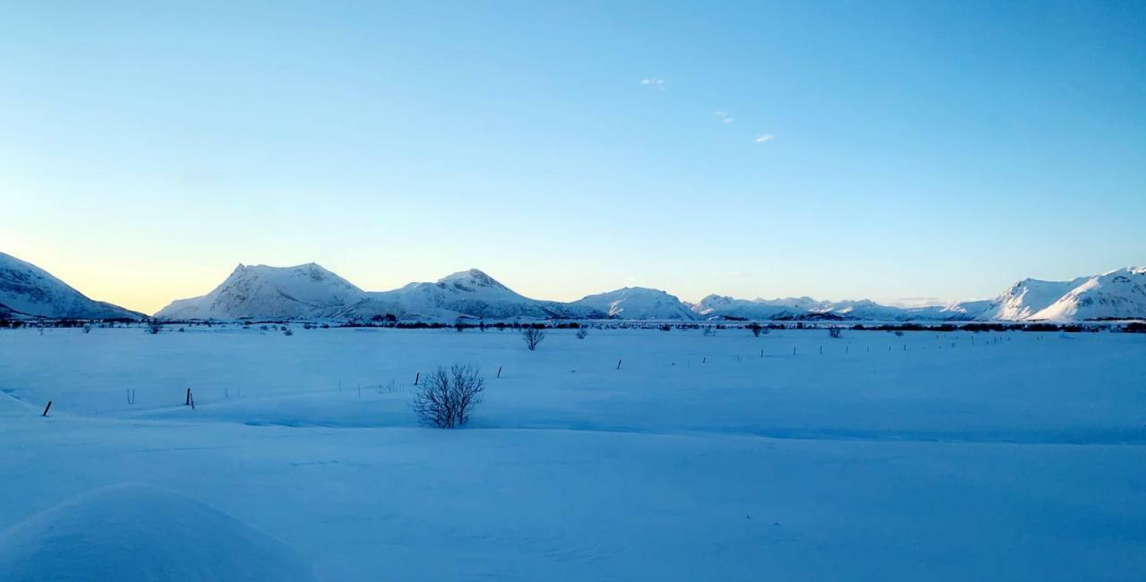 Narnia Lodge Lofoten Gimsoy Eksteriør billede