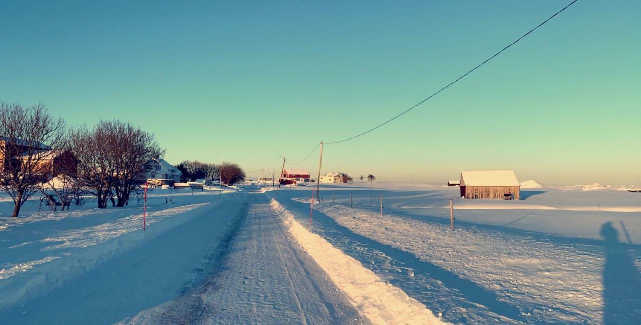 Narnia Lodge Lofoten Gimsoy Eksteriør billede